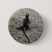 Schwarze Eidechse Button (Vorderseite)