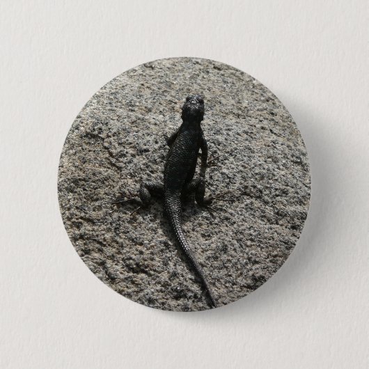 Schwarze Eidechse Button (Vorderseite)