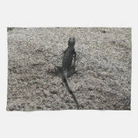 Schwarze Eidechse