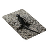 Schwarze Eidechse Magnet (Rechte Seite)