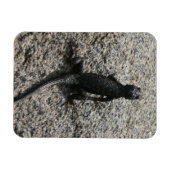 Schwarze Eidechse Magnet (Horizontal)