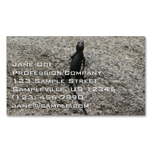 Schwarze Eidechse Magnetische Visitenkarte