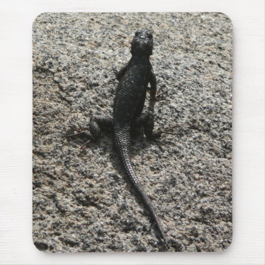 Schwarze Eidechse Mousepad (Vorne)