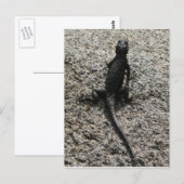 Schwarze Eidechse Postkarte (Vorne/Hinten)