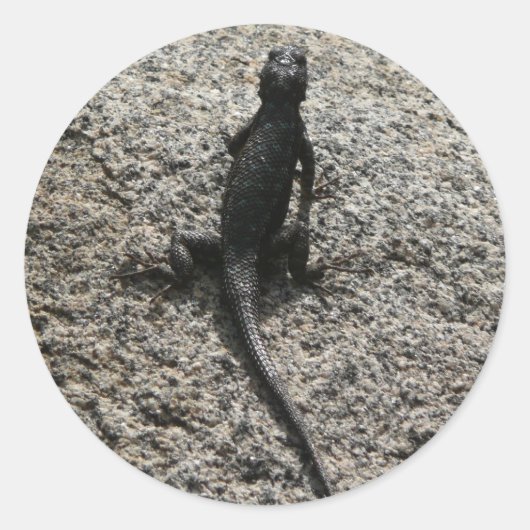 Schwarze Eidechse Runder Aufkleber (Vorderseite)