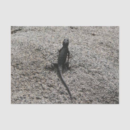 Schwarze Eidechse Seidenpapier (Vorderseite)
