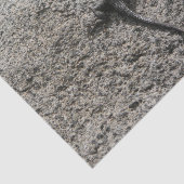 Schwarze Eidechse Seidenpapier (Ausschnitt)