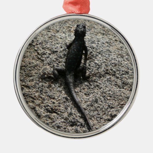Schwarze Eidechse Silbernes Ornament (Vorne)