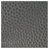 Schwarze Emu Haut wie Leder aussehend Stoff (Nahaufnahme)