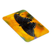Schwarze Form des Östlichen Tigers Magnet (Rechte Seite)