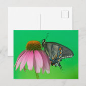 Schwarze Form des Osttiger-Fracks Postkarte (Vorne/Hinten)