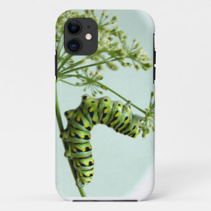 Schwarze Frack-Raupe, die Petersilie isst Case-Mate iPhone Hülle