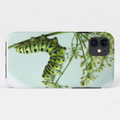 Schwarze Frack-Raupe, die Petersilie isst Case-Mate iPhone Hülle (Rückseite (Horizontal))