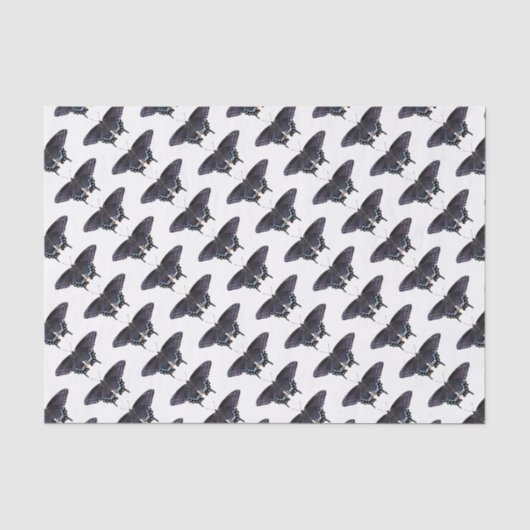 Schwarze Fracks aus Papiergewebe Seidenpapier (Vorderseite)