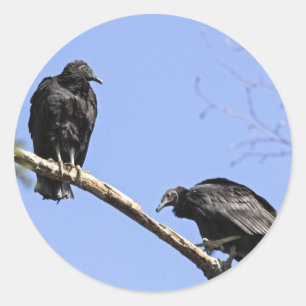 Schwarze Geier Runder Aufkleber