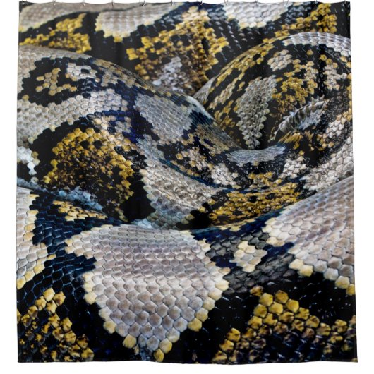 Schwarze, gelbe und graue Python Duschvorhang (Vorderseite)