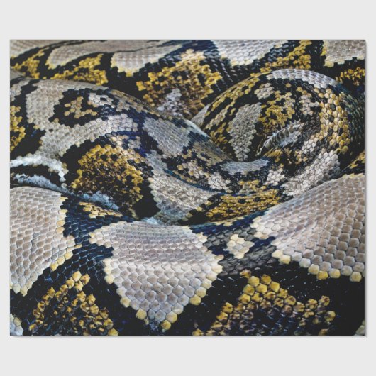 Schwarze, gelbe und graue Python Geschenkpapier (Flach)