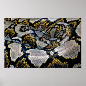 Schwarze, gelbe und graue Python Poster (Vorne)