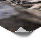 Schwarze Gepunktete Leoparden Poster (Ecke)