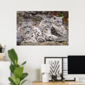 Schwarze Gepunktete Leoparden Poster (Heimbüro)