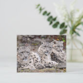 Schwarze Gepunktete Leoparden Postkarte (Stehend Vorderseite)