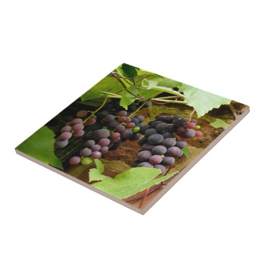 SCHWARZE GRAPEN FLIESE (Seite)