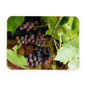 SCHWARZE GRAPEN MAGNET (Horizontal)