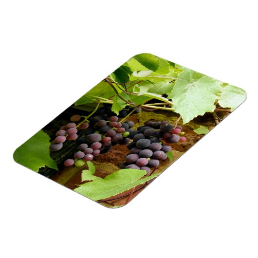 SCHWARZE GRAPEN MAGNET (Linke Seite)