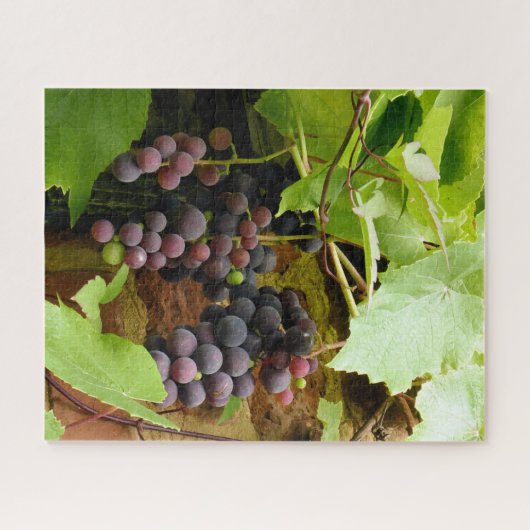 SCHWARZE GRAPEN PUZZLE (Horizontal)