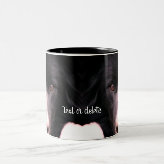 Schwarze Grenze Collie Face Personalisiert Zweifarbige Tasse (Mittel)