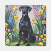 Schwarze, großartige Dog-Frühlingsblumen Malerei Magnet (Vorne)