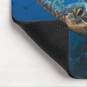 Schwarze (grüne) Schildkröte (Chelonia agassizi) Mousepad (Ecke)