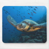 Schwarze (grüne) Schildkröte (Chelonia agassizi) Mousepad (Vorne)