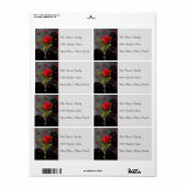 Schwarze Grunge Herzen mit Rote Rose (Vorne)