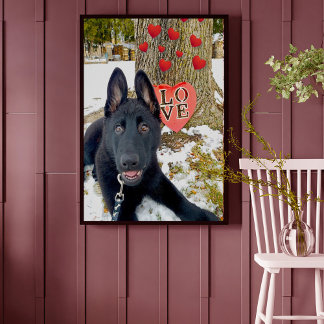 Schwarze GSD-Welpe mit Herz & Liebe Valentine Poster