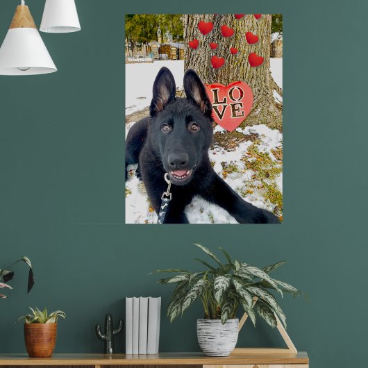 Schwarze GSD-Welpe mit Herz & Liebe Valentine Poster (Wohnzimmer 1)