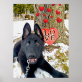 Schwarze GSD-Welpe mit Herz & Liebe Valentine Poster (Vorne)