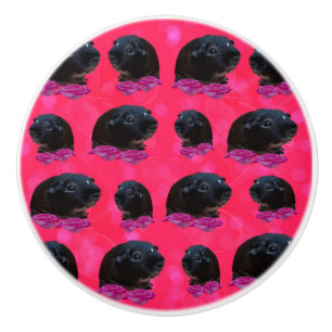 Schwarze Guinea Schweine auf Hübsch rosa Rosen Keramikknauf