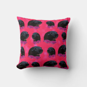 Schwarze Guinea Schweine auf rosa Rosen, Kissen in