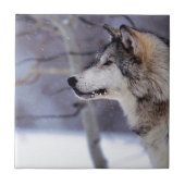 Schwarze heisere Hundeprodukte Fliese (Vorderseite)