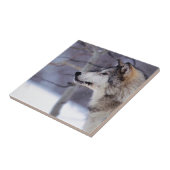 Schwarze heisere Hundeprodukte Fliese (Seite)