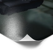 Schwarze Herzrose Fotodruck (Ecke)