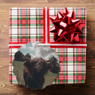 Schwarze Highland-Schottlandkuh weidet vintage ret Ornament Karte