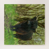 Schwarze Hochlandkuh Puzzle (Horizontal)