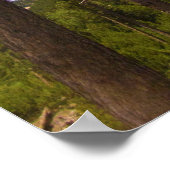 Schwarze Hügel Gerahmt von Bäumen, Süddakota Poster (Ecke)