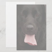 Schwarze Hundegesicht Briefpapier (Vorne/Hinten)