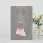 Schwarze Hundegesicht Briefpapier (Stehend Vorderseite)