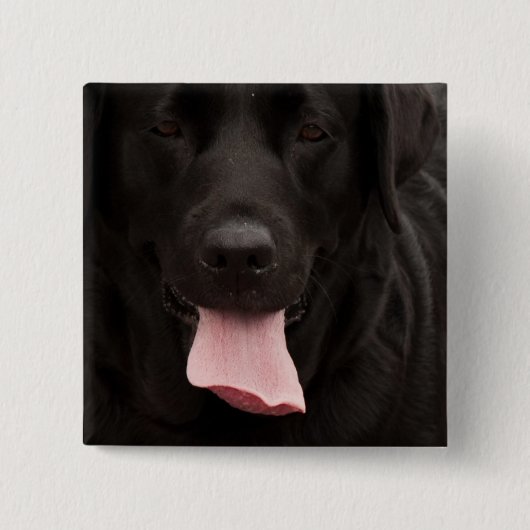 Schwarze Hundegesicht Button (Vorderseite)