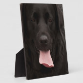 Schwarze Hundegesicht Fotoplatte (Seite)