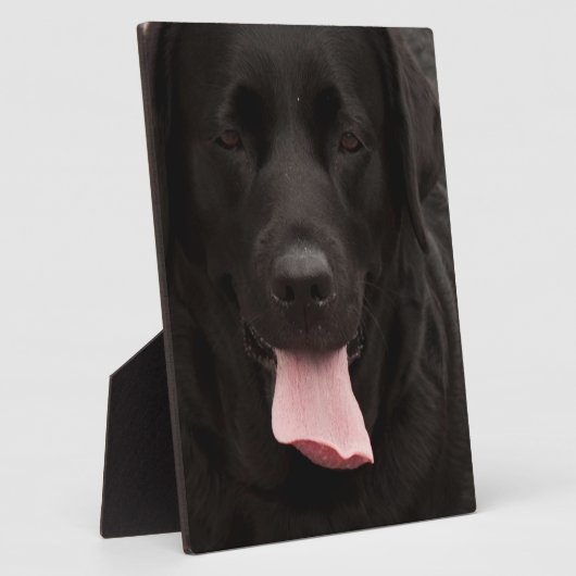 Schwarze Hundegesicht Fotoplatte (Seite)